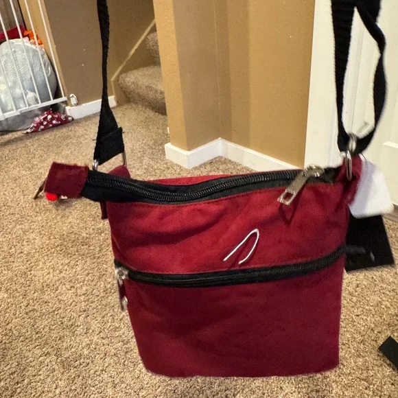 NWT Beetle Juice Crossbody - Picture 5 of 7